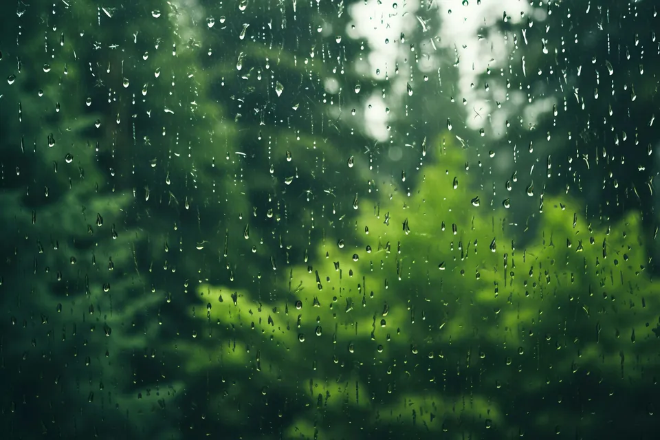 Ventana con gotas de lluvia y árboles al fondo
